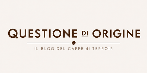 Questione di origine blog
