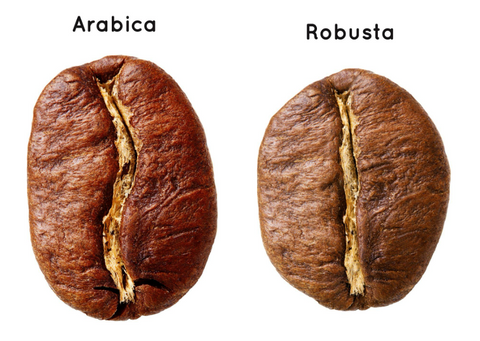 Arabica Vs Robusta